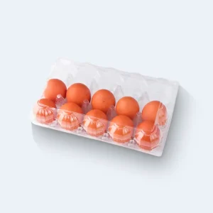  ETC10 – Embalagem para Ovos